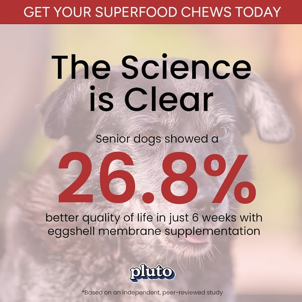 A clean, data-focused ad creative using a high-contrast percentage stat overlaid on a soft-focus pet photo to drive product credibility.
